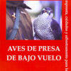 AVES DE PRESA DE BAJO VUELO Michael McDermott