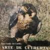 ARTE-DE-CETRERIA-GIL-CUBILLO