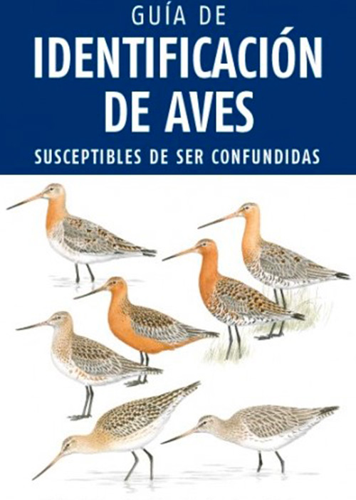 Guia identificacion aves