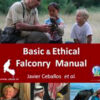 basic-ethical-falconry-manual-javier-ceballos