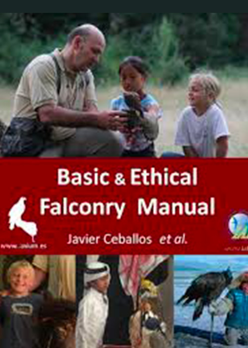 basic-ethical-falconry-manual-javier-ceballos