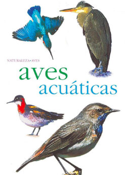 aves-acuaticas