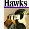 Hawks Peterson Field Guides