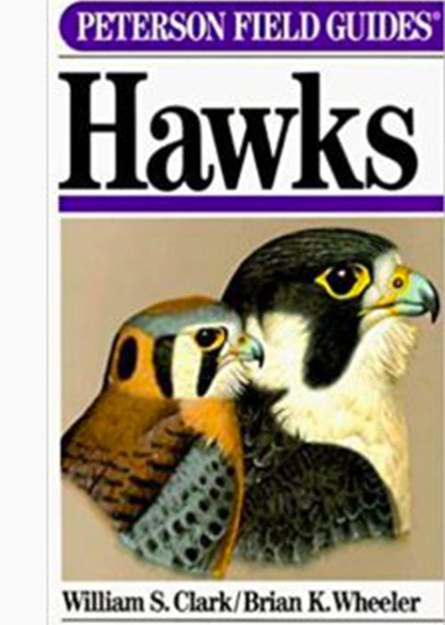 Hawks Peterson Field Guides