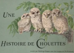 une-histoire-de-chouettes