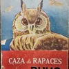 caza-de-rapaces-de-buho
