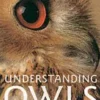understanding-owls